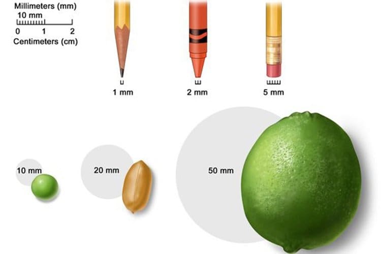 Infographic showing how big different lung nodules are. 1mm is the size of a pencil lead. 2 mm is the size of a crayon top. 5 mm is the size of a pencil erase. 10 mm is the size of a small candy. 20 mm is the size of peanut. 50 mm is the size of a lime. 