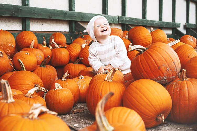 Image of smiling baby near a pumpkin patch.