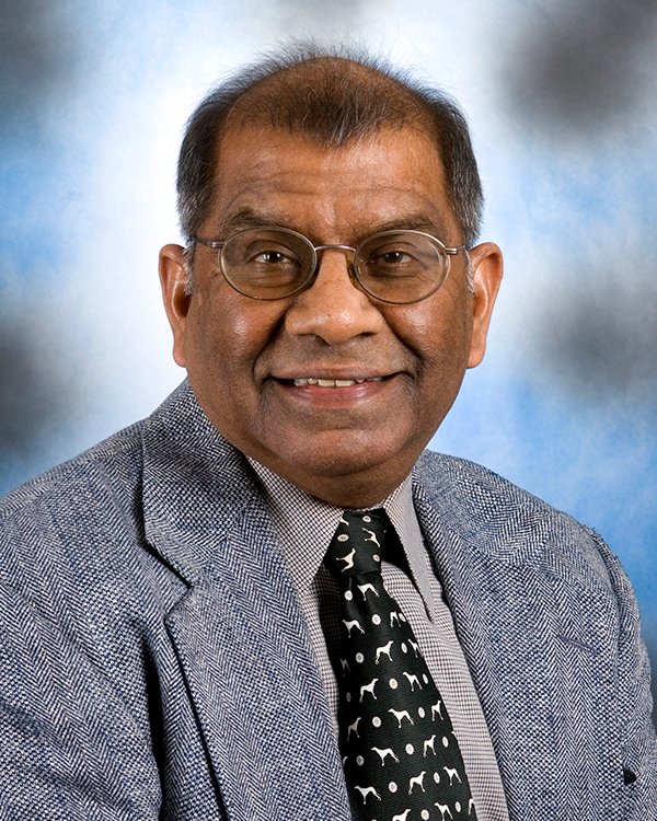 Rakesh N. Saxena