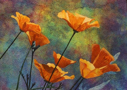 Yellow Poppies