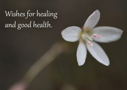 Healing Wishes