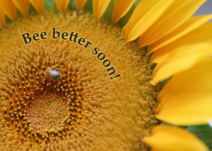 Bee Better Soon