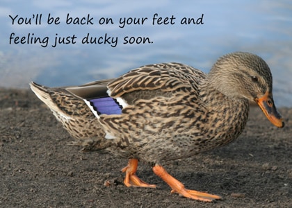 Just Ducky