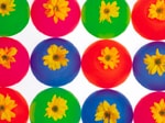 Technicolor Daisies