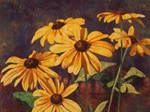 Black-Eyed Susans