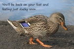 Just Ducky